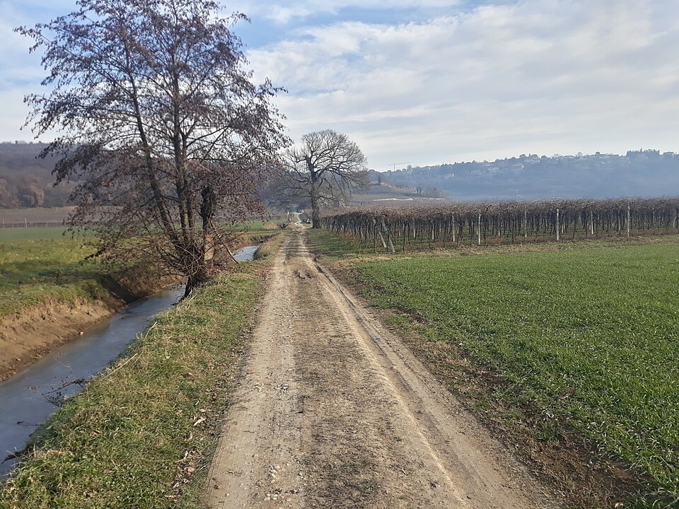 Campagna di San Martino Buon Albergo