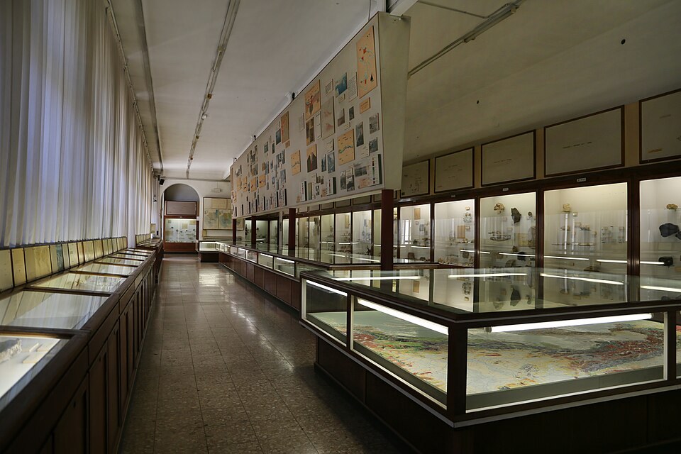 Sala del Museo di Storia Naturale di Verona