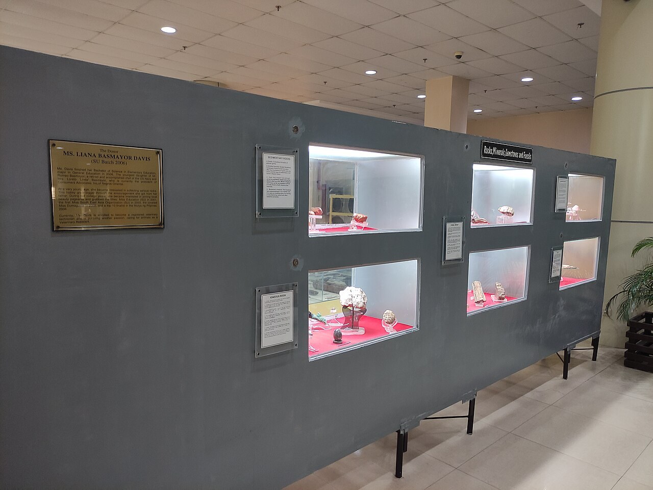 Vetrina con minerali esposti in un museo